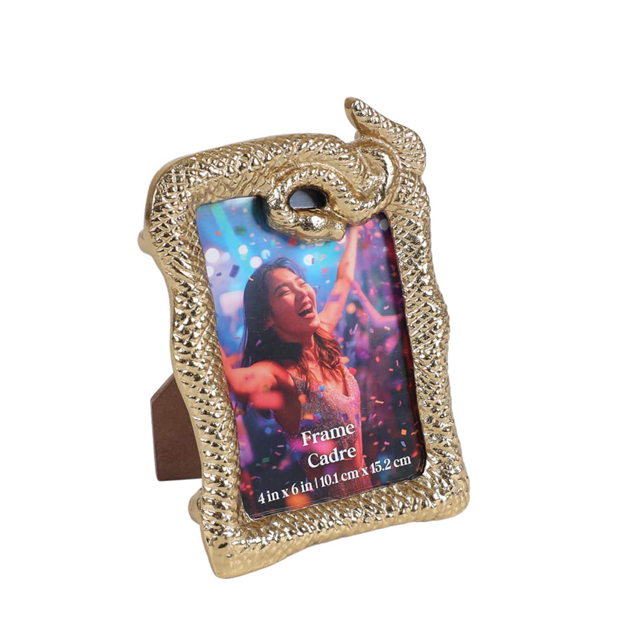 4" x 6" Gold Snake Frame by Ashland®